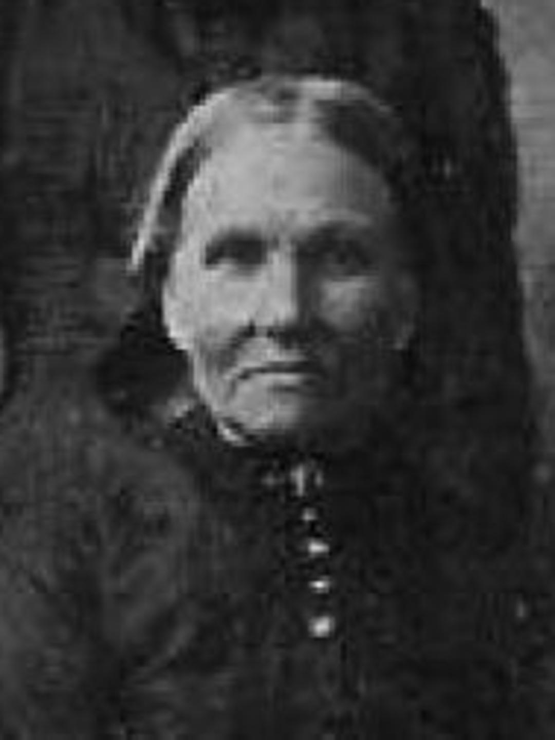 Margaret Fife (1829 - 1915) Profile